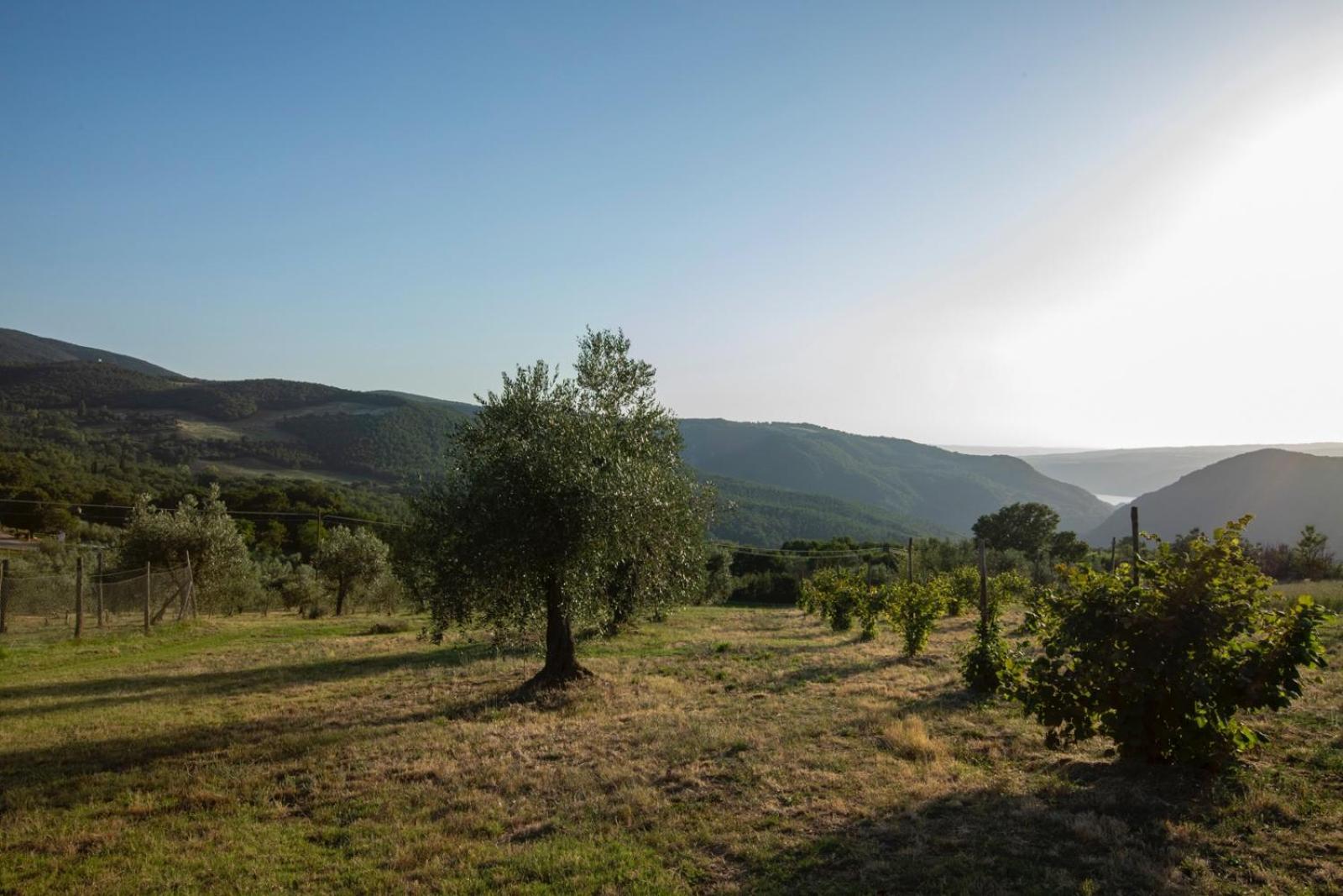 Agriturismo Podere Acqualoreto Exterior photo